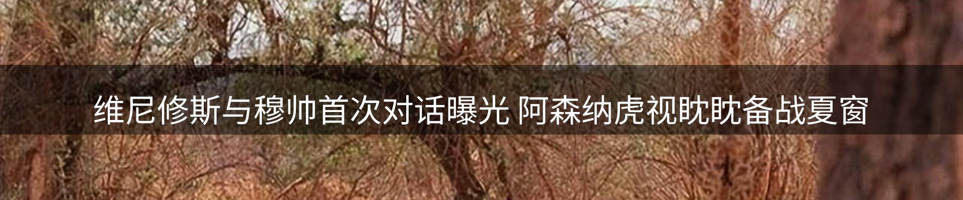新闻中心