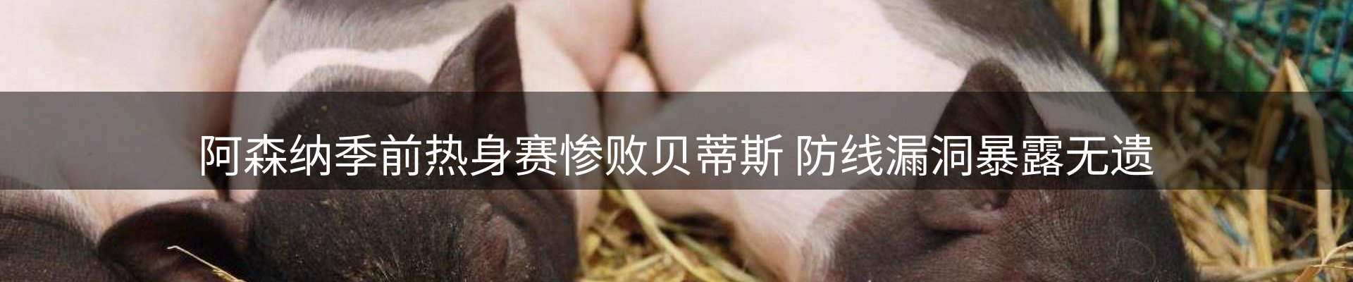 新闻中心